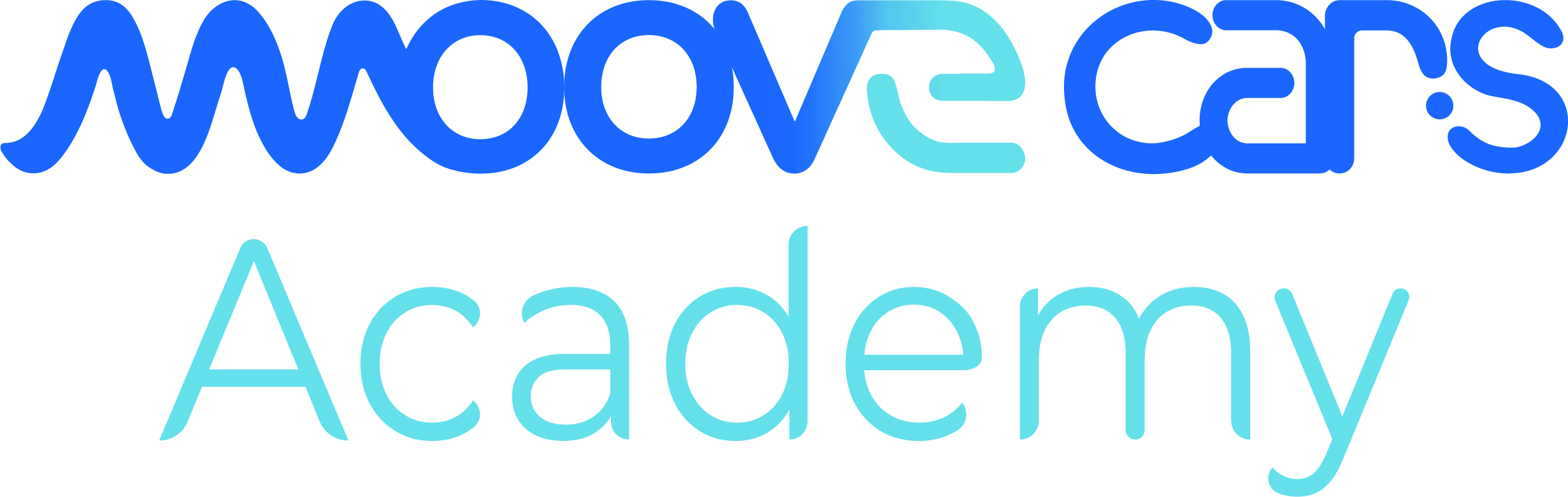 MooveCars Academy